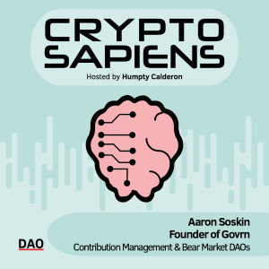 Contribution Management & Bear Market DAOs | Aaron Soskin -Founder at  Govrn