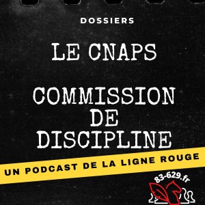 Commission de discipline du CNAPS : les nominations !