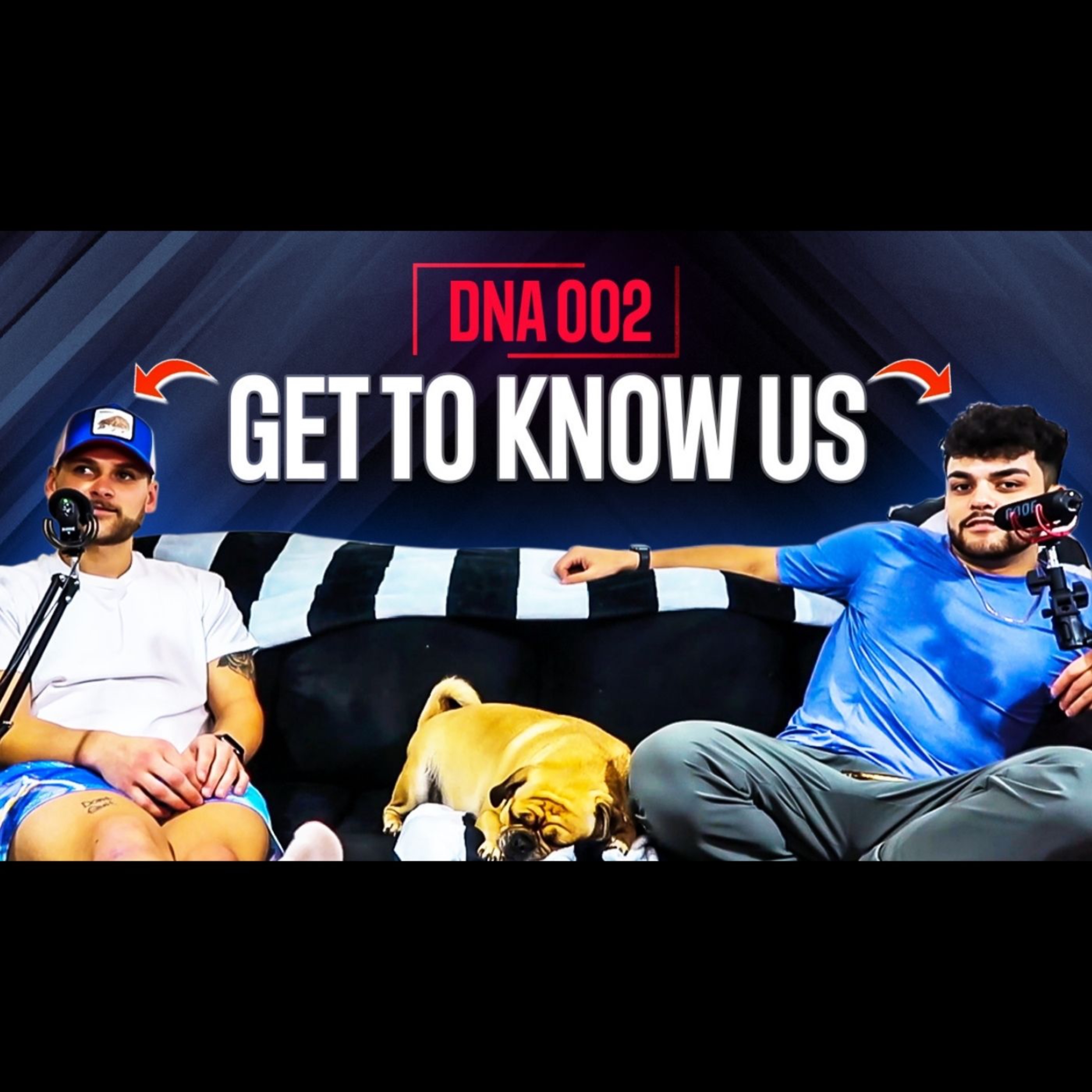 The DnA Talk