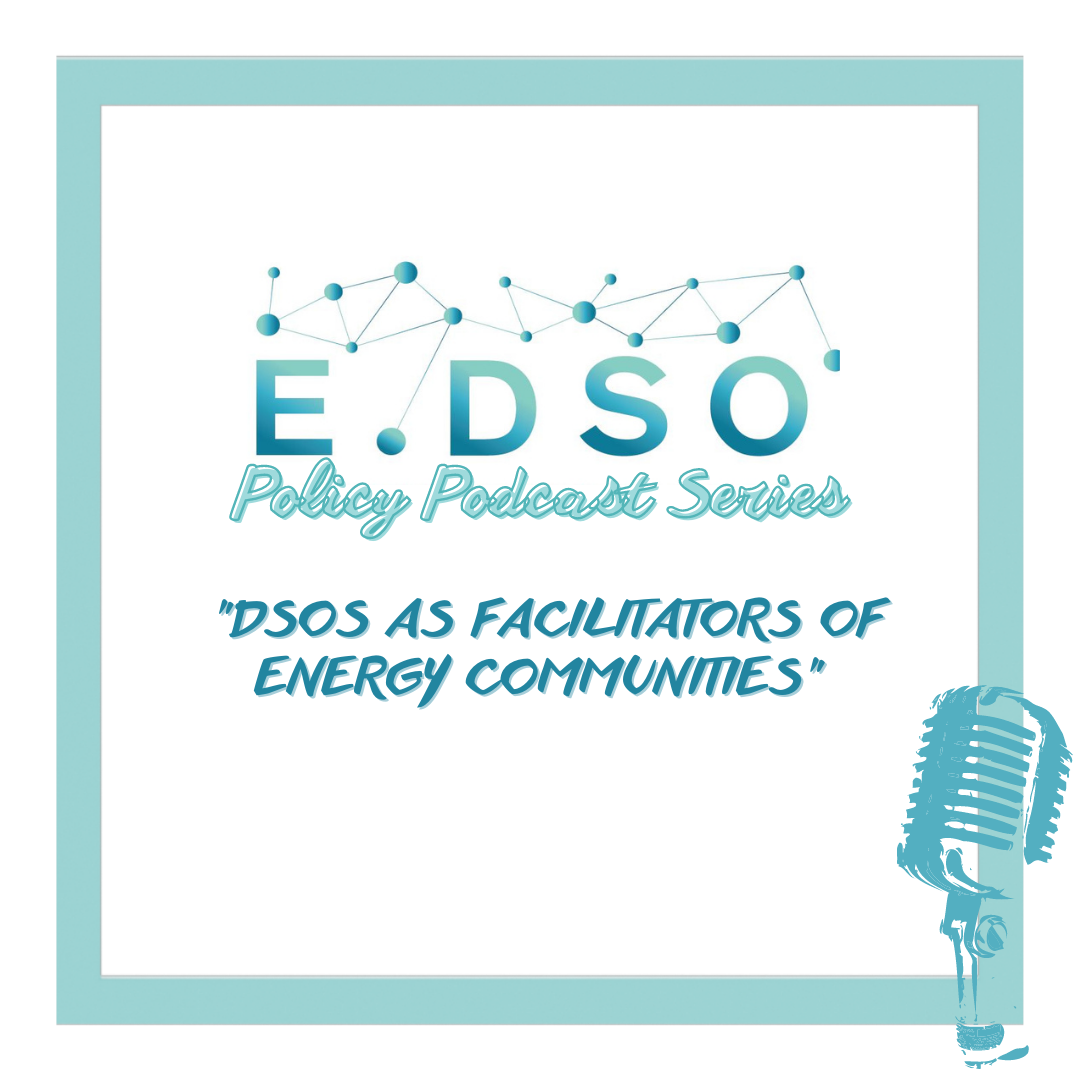 E.DSO Policy Podcast Series