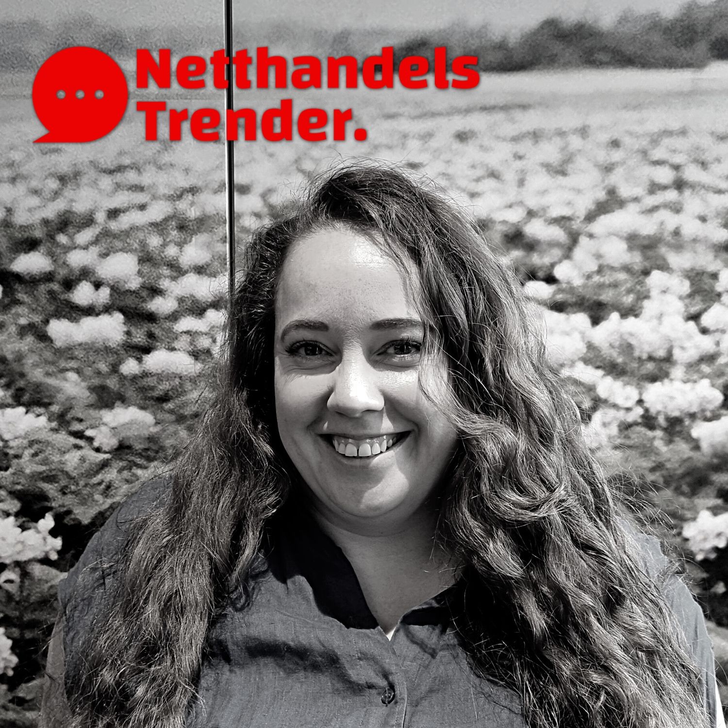 Netthandelstrender