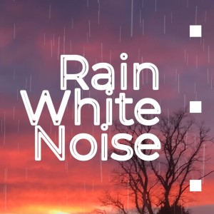 Rain White Noise For Sleep, Study, Relaxation 12 Hours