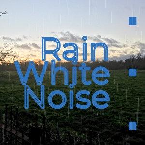 12 Hours Rain White Noise