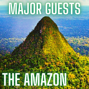 The Amazon Rainforest