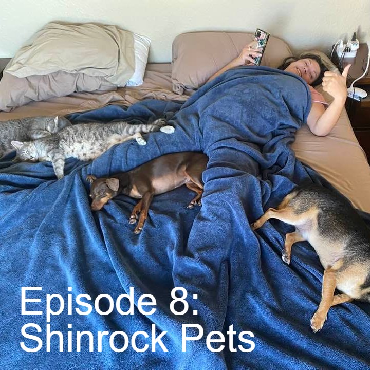 The Shindigg