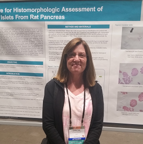 P-19 Procedure For Histomorphologic Assessment Of Isolated Islets From Rat Pancreas