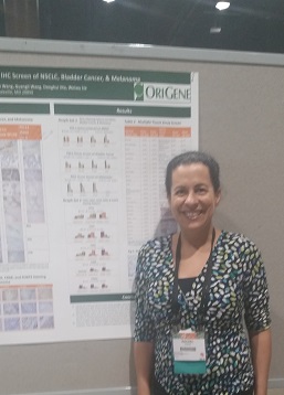 P-23 Highly Sensitive Rb Mono Anti-PD-L1 Clone OR-5E3 And OR-5H8 Antibodies For IHC Screen of NSCLC, Bladder Cancer, &amp; Melanoma