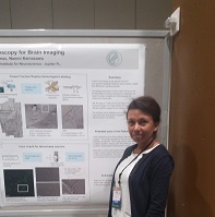 P-32  Correlative Light And Electron Microscopy For Brain Imaging