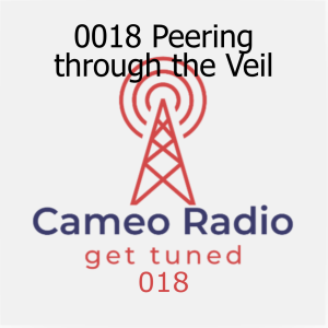 0018 Peering through the Veil
