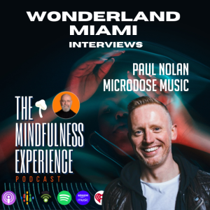 Paul Noland, Music, Sound, Healing, Wonderland Miami Interviews
