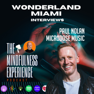 S01E29 - Paul Noland - Music Therapist, Sound, Healing - Wonderland Miami Interviews