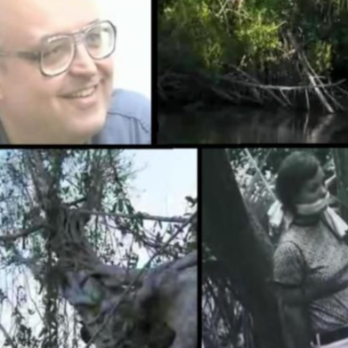 Gerard John Schaefer & The Devils Tree — Shitz Grim cover