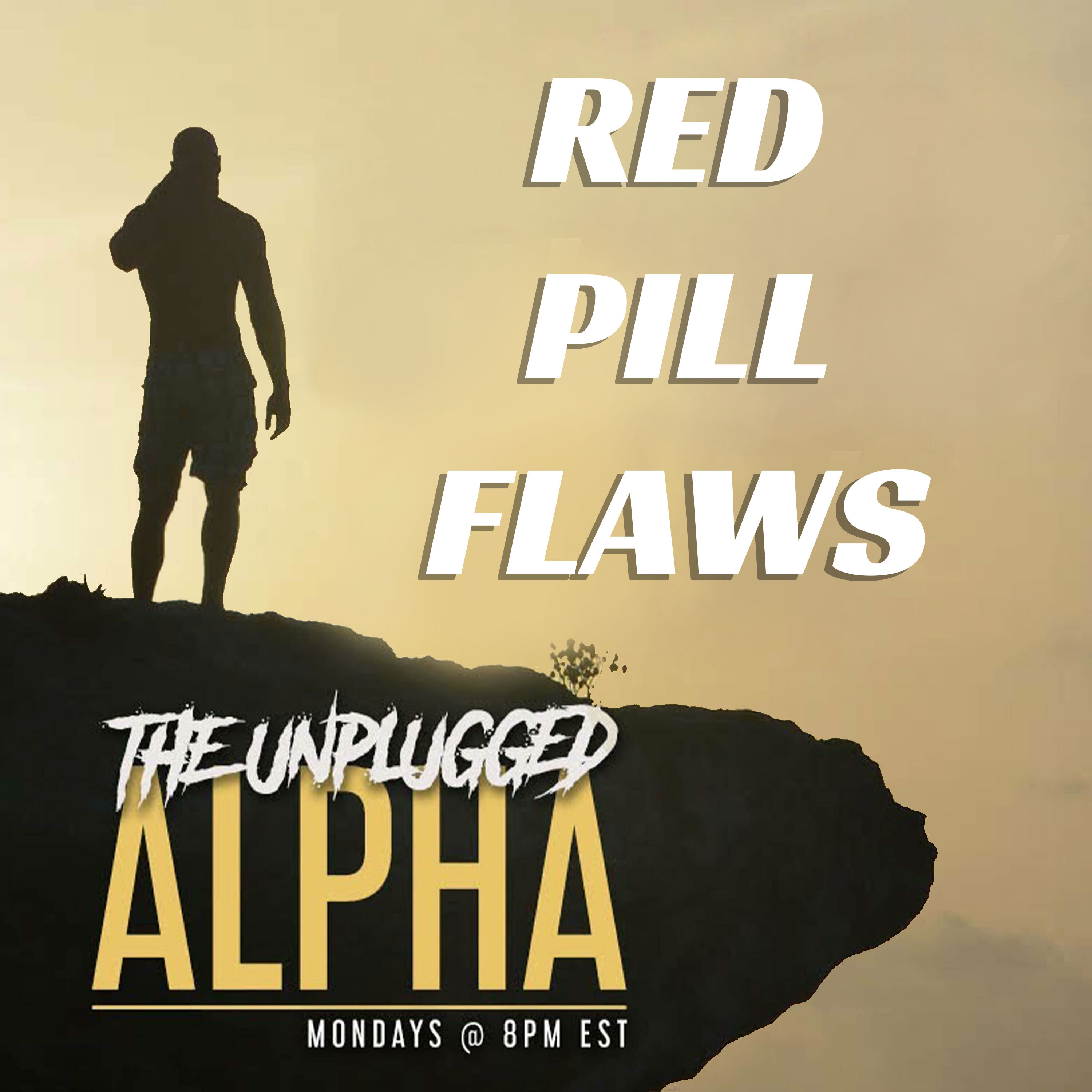 0123 - Fatal Flaws With The Red Pill & Manosphere
