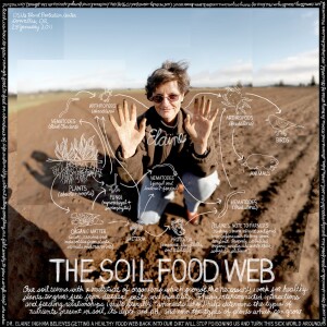 The Soil Food Web