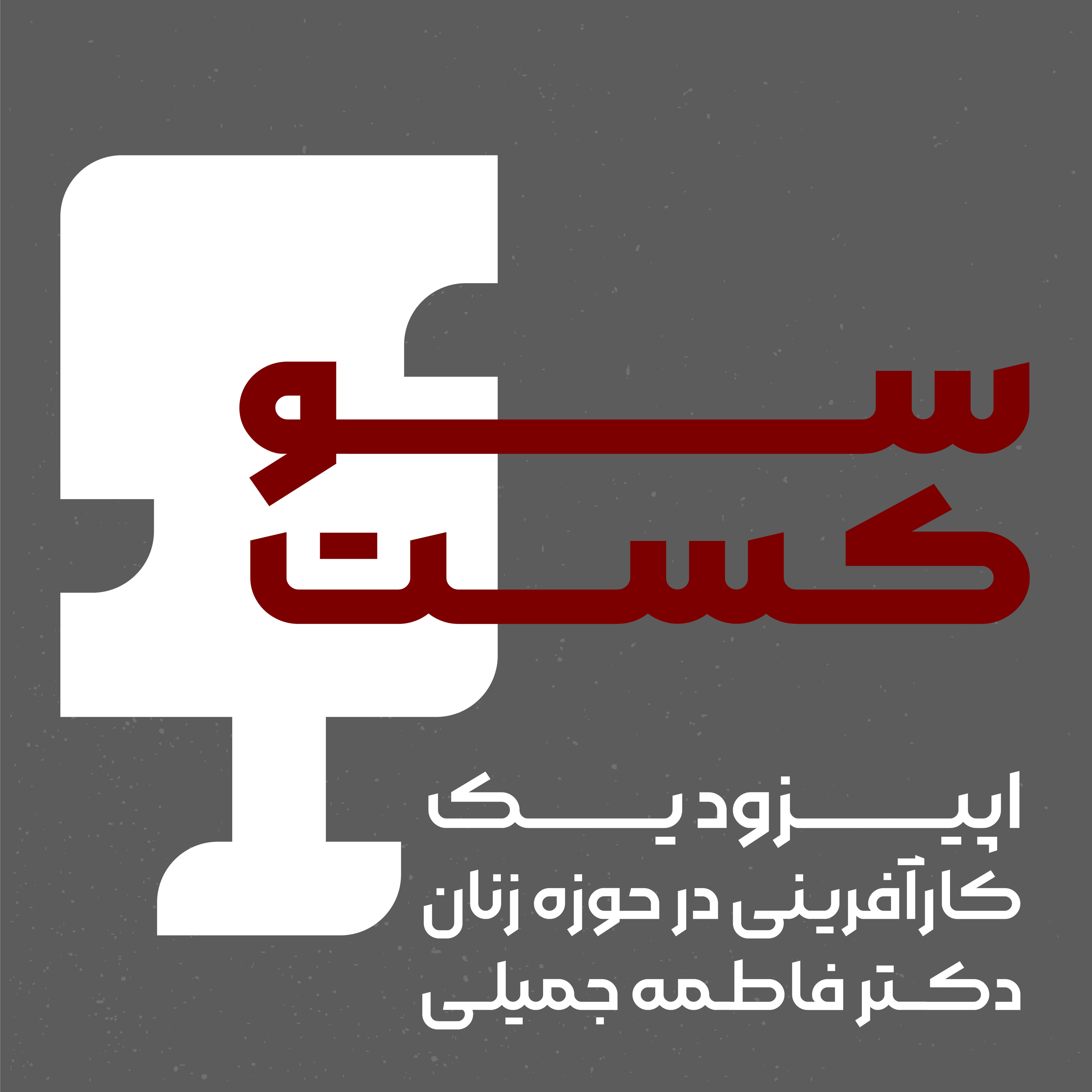 دکتر فاطمه جمیلی(کارآفرینی در حوزه زنان)