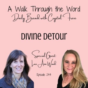Episode 244: Divine Detour with Lori Ann Wood