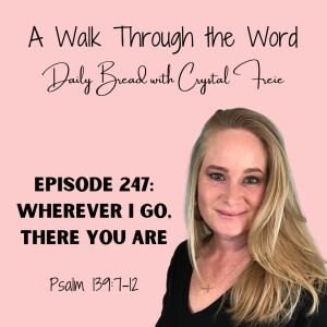Episode 247: Wherever I Go, There You Are