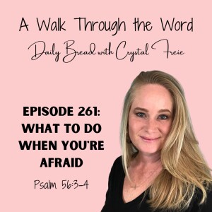 Episode 261: What To Do When You’re Afraid