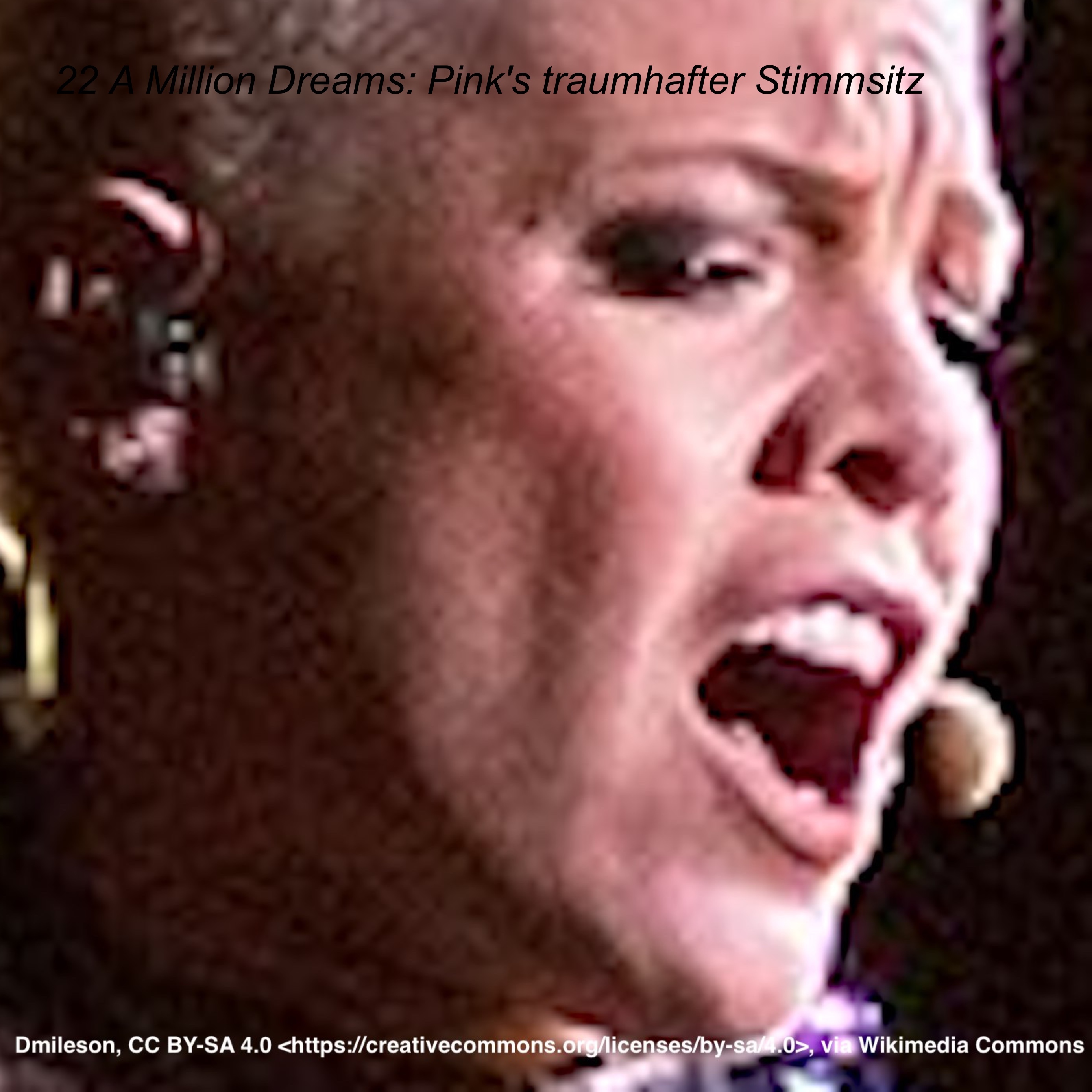 Erfolg durch die Kraft der Stimme: Belt Voice Training
