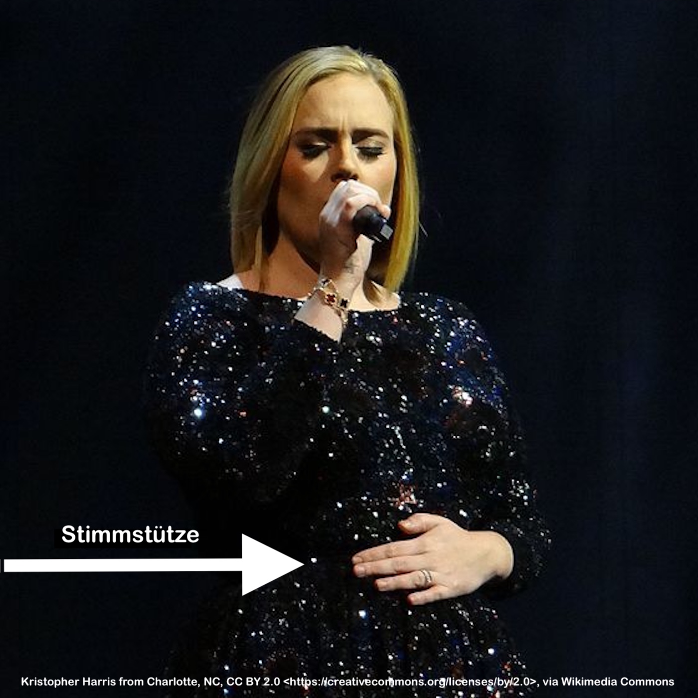 Erfolg durch die Kraft der Stimme: Belt Voice Training
