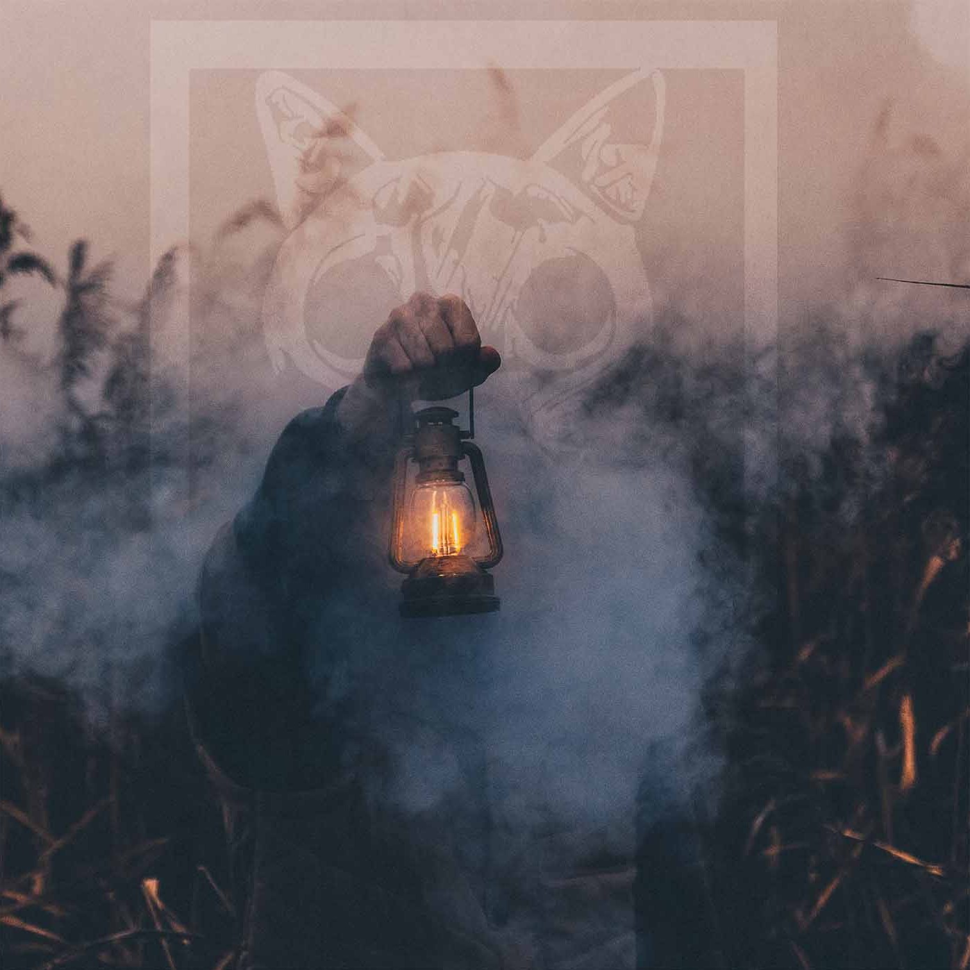 Rolling Tech House Classics | Left Cat at Camp Lamp - Firefly 2023 Rolling Tech House Classics | Left Cat at Camp Lamp - Firefly 2023