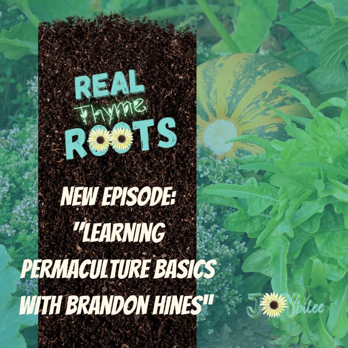 Real Thyme Roots