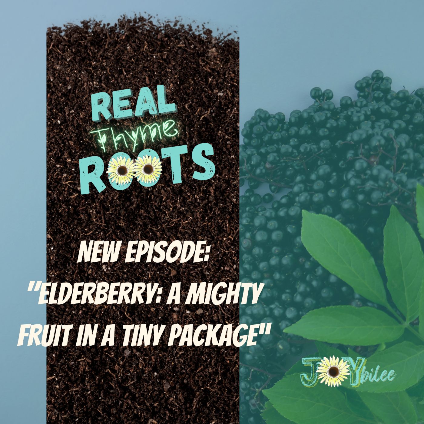 Real Thyme Roots