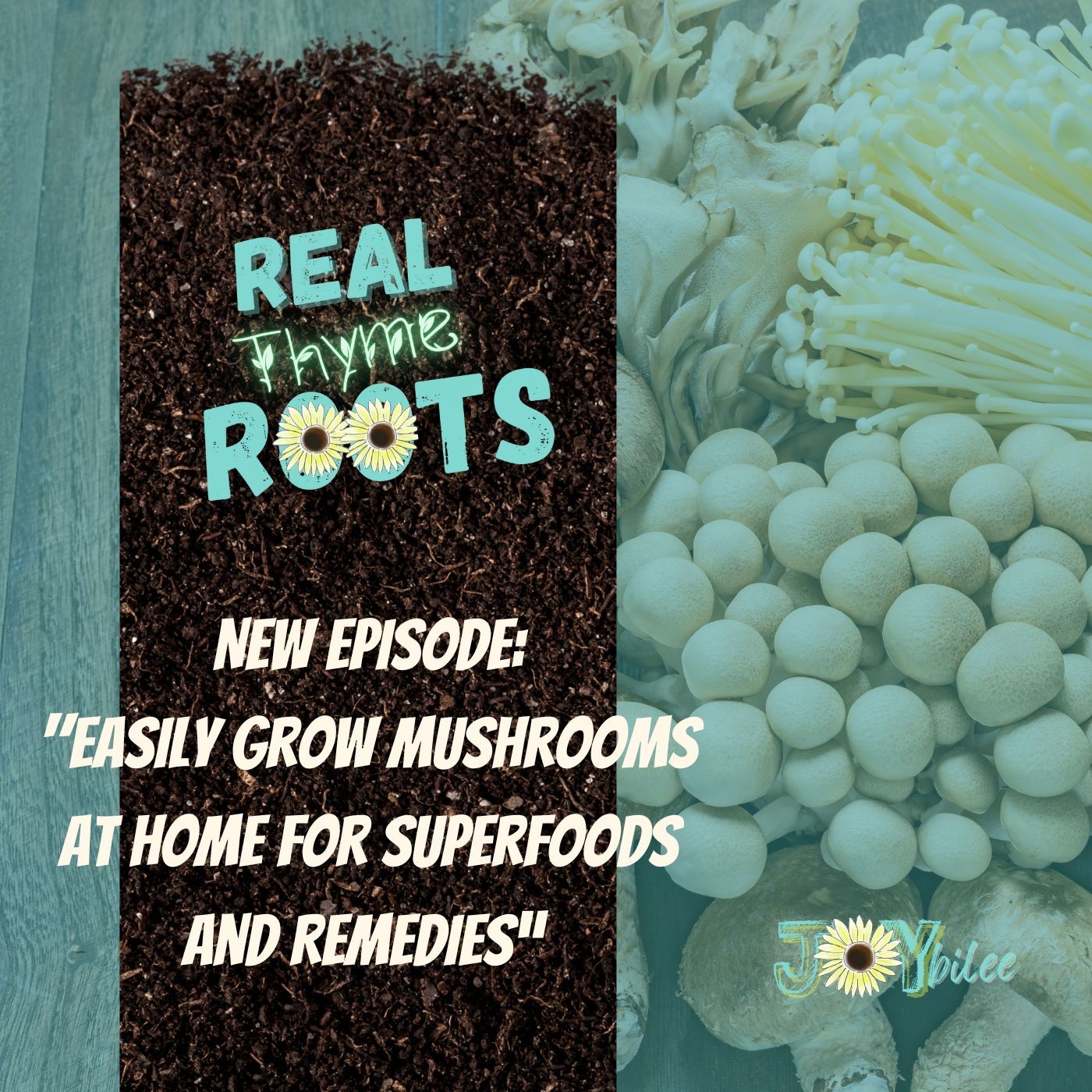 Real Thyme Roots