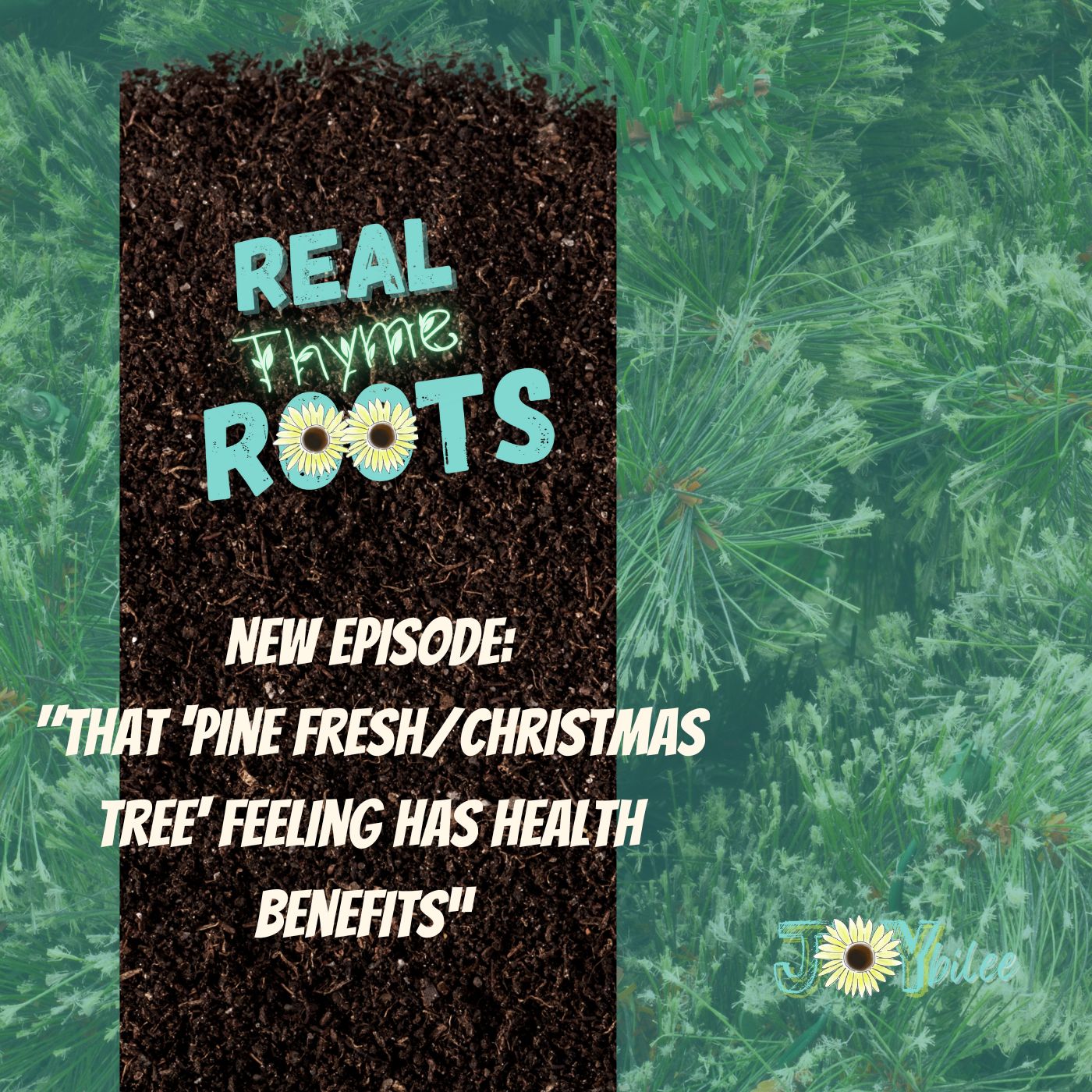Real Thyme Roots