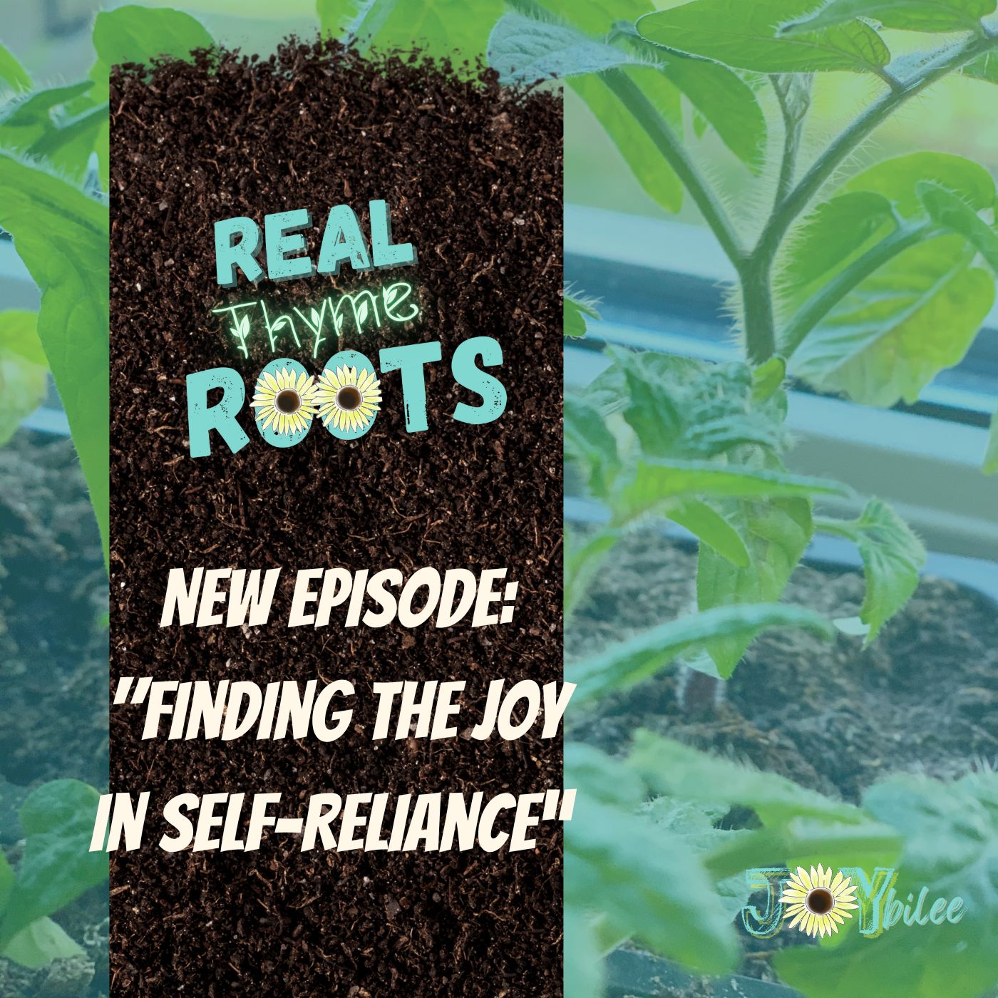 Real Thyme Roots