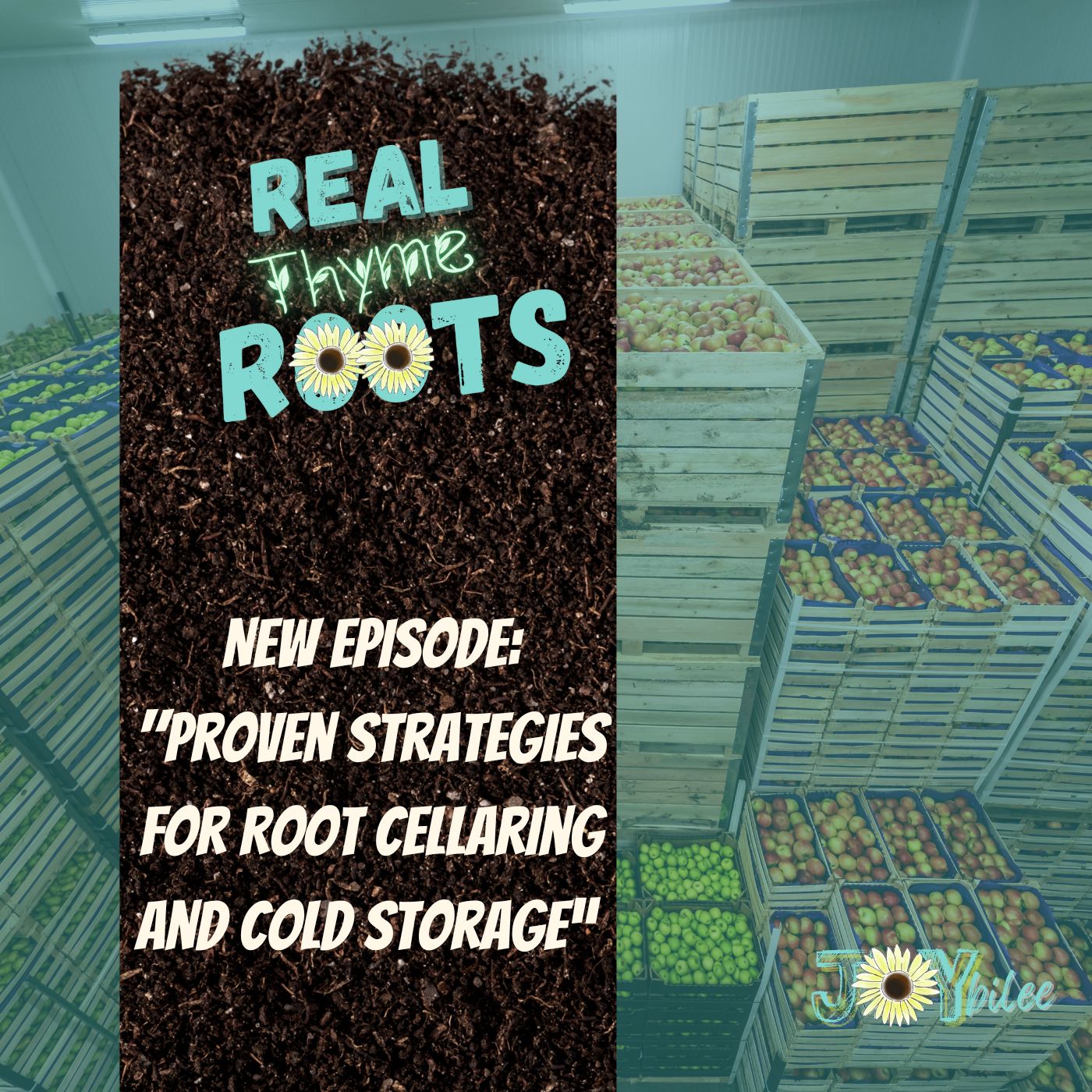 Real Thyme Roots