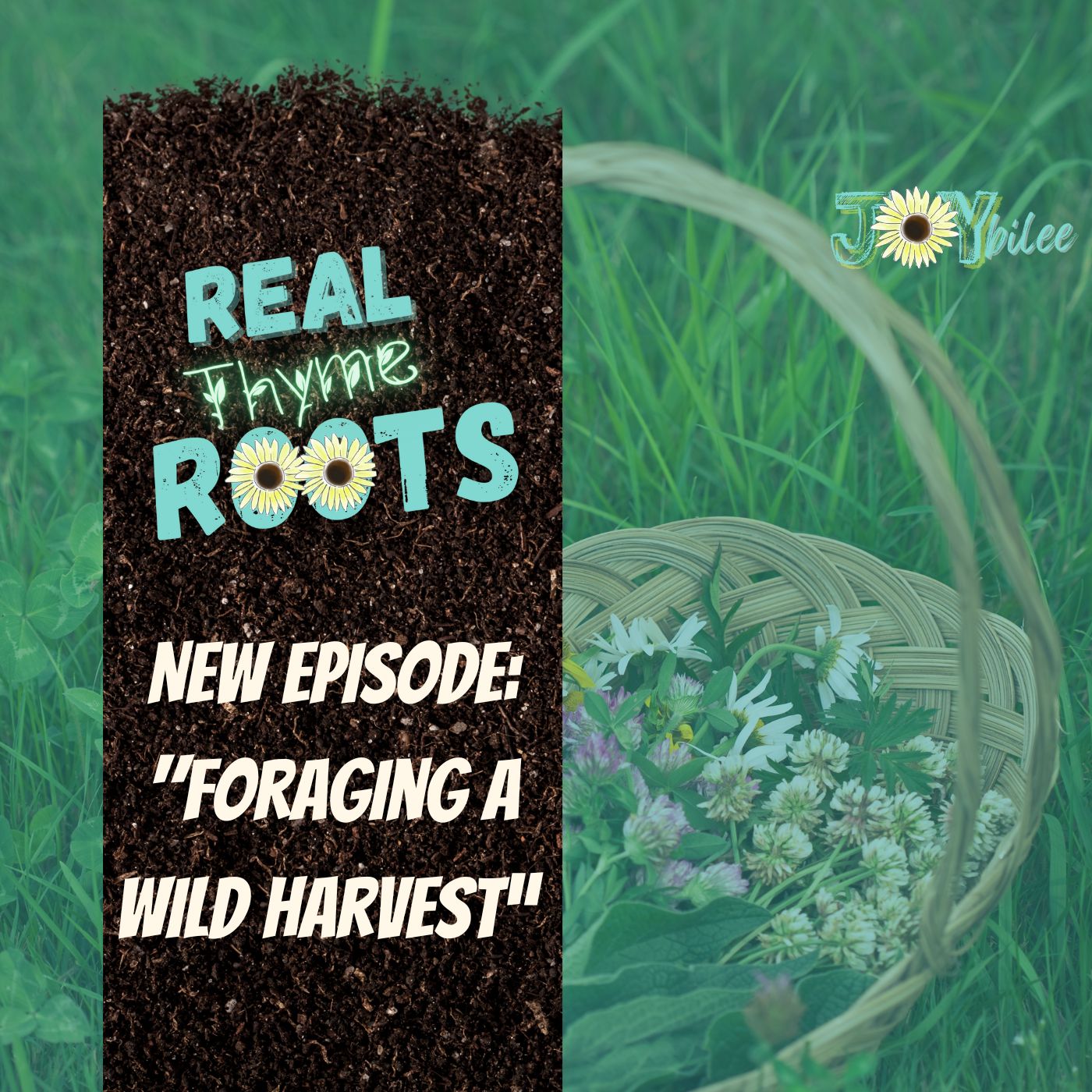 Real Thyme Roots