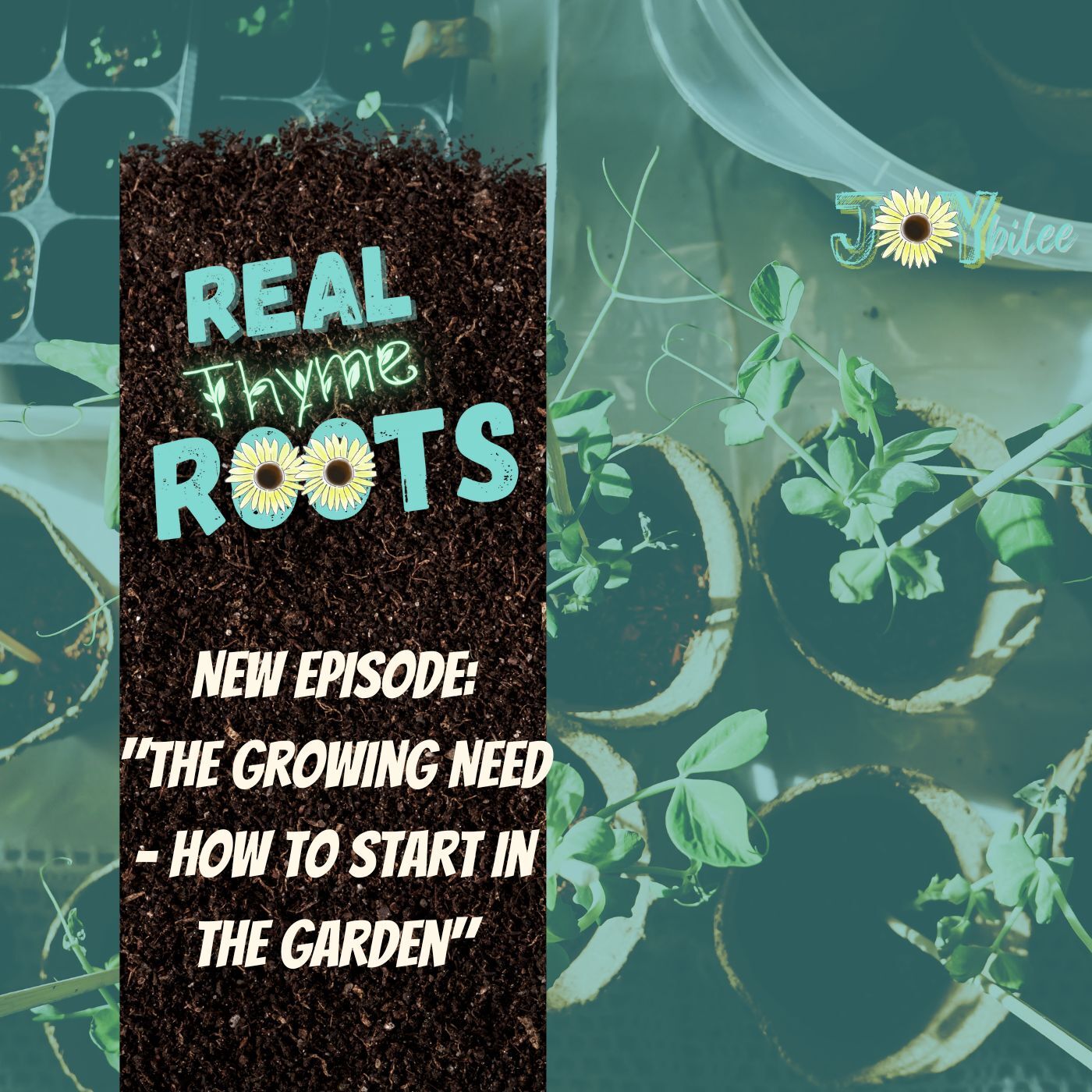 Real Thyme Roots