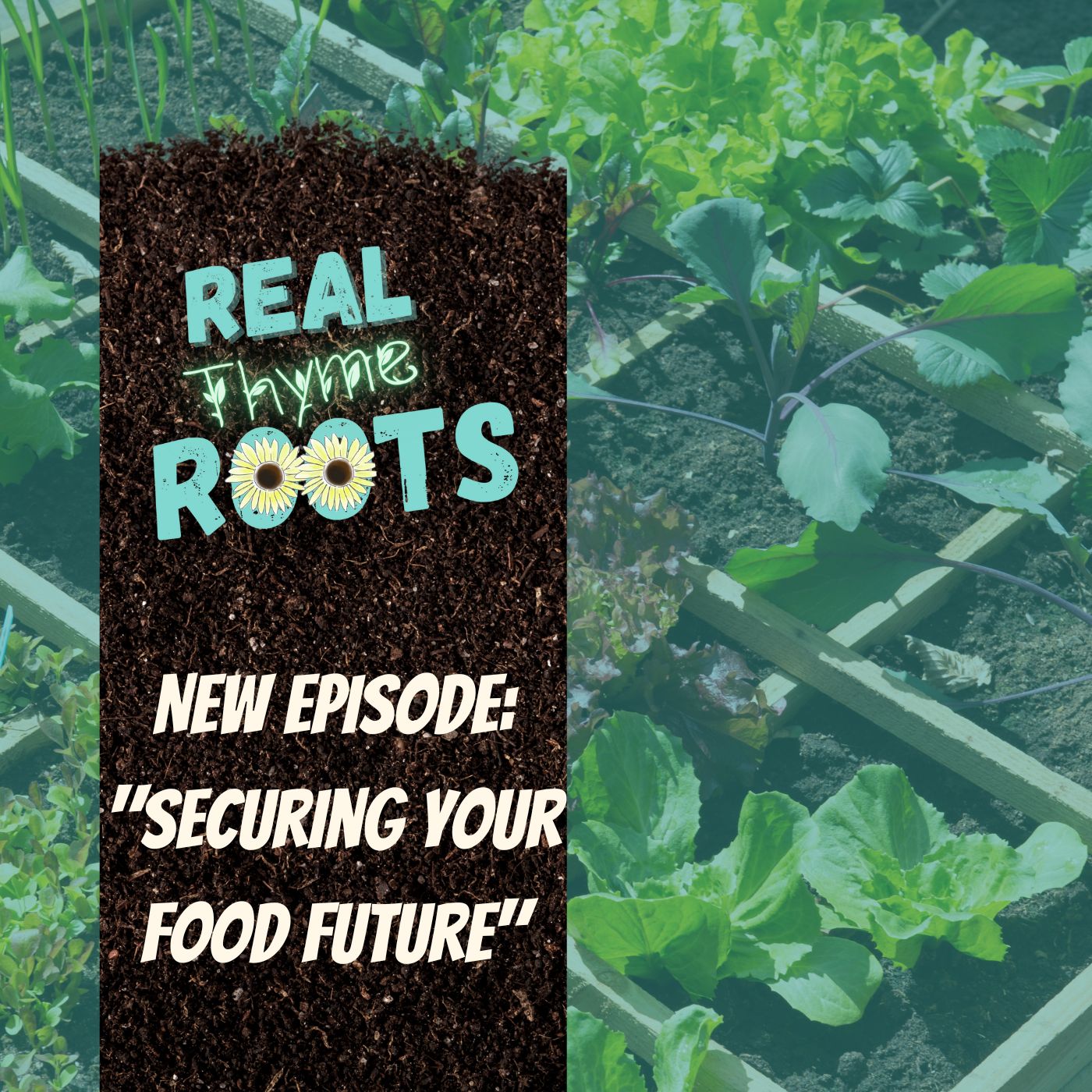 Real Thyme Roots