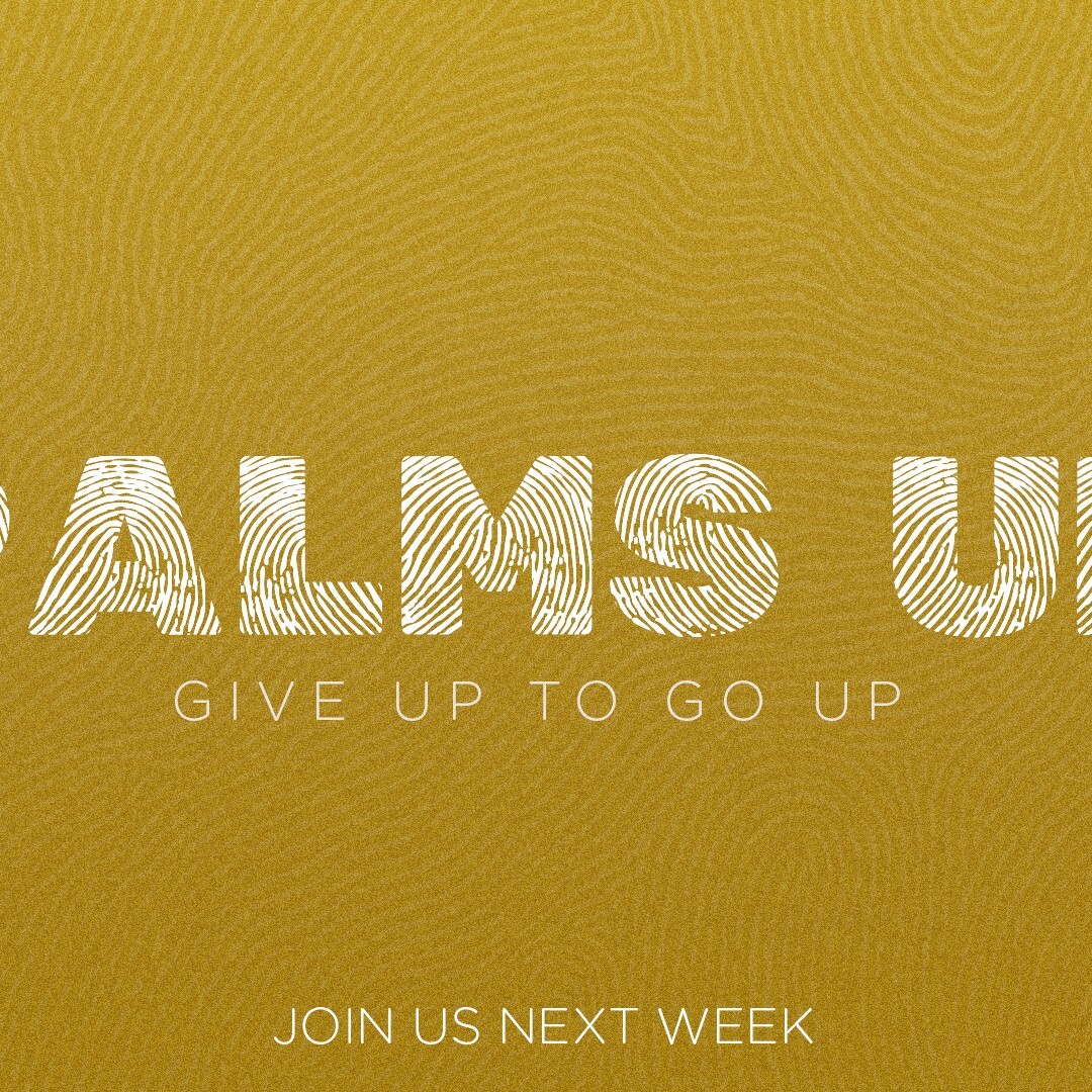 Palms Up - Treasure