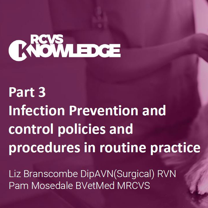 Infection control Part 3 infection prevention, and control policies