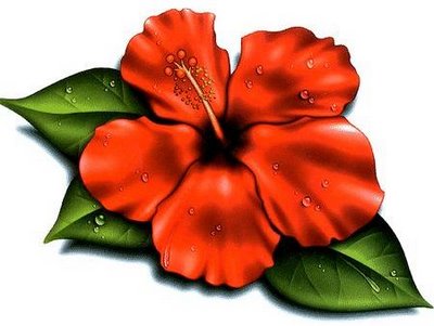 24/7 Hawaiian Music from Port Orchard