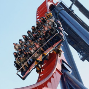 Risk & Trust is Life’s Little Roller Coaster Ride