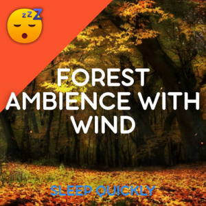 😴🍂 FOREST Ambience with WIND for SLEEP
