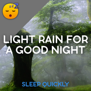 😴🌧️SLEEP with Light RAIN for a Good NIGHT