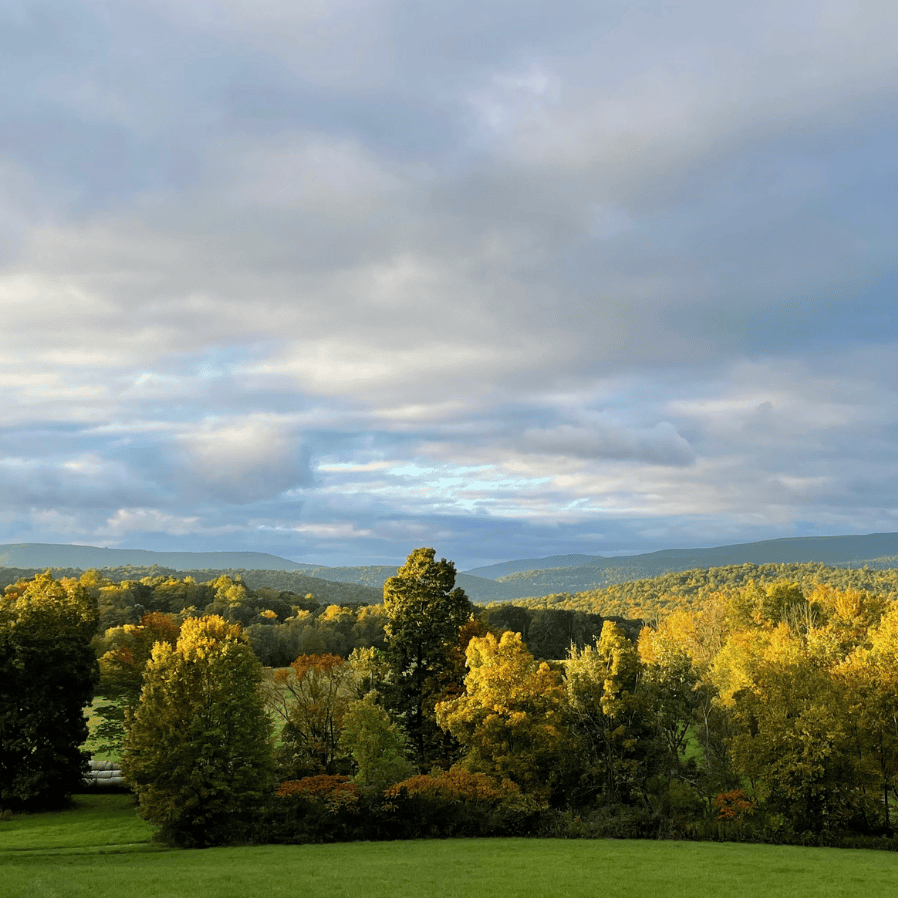 Comfort, Contentment, and the Test of Change Comfort, Contentment, and the Test of Change