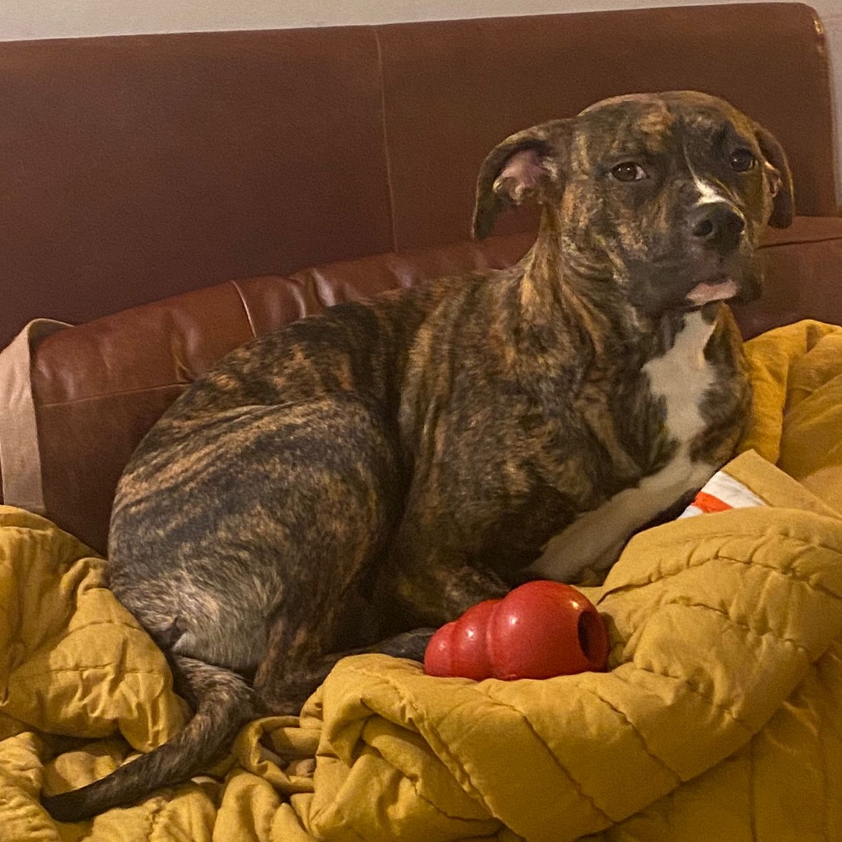 Ruby and Lewis
