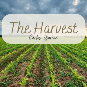 11-27-22 ”The Harvest” Matt. 9:35-38 - Carlos Garcia Jr.