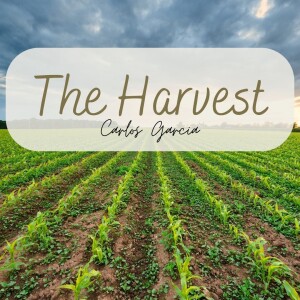 11-27-22 ”The Harvest” Matt. 9:35-38 - Carlos Garcia Jr.