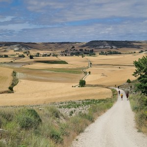 The Sacred 6: Meseta