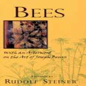 351 Episode 7:  Bees Lecture 7 by Rudolf Steiner