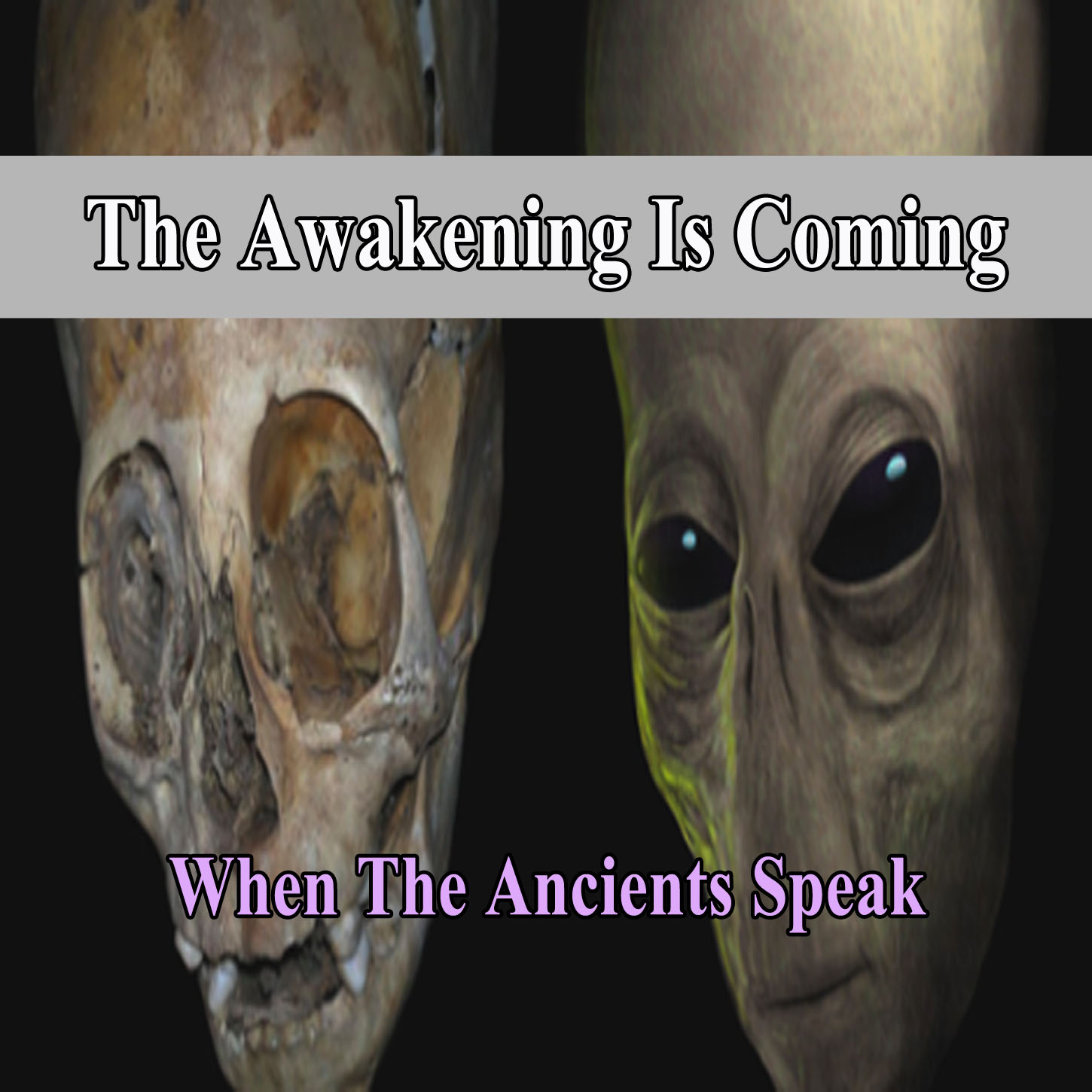 The Awakening Is Coming