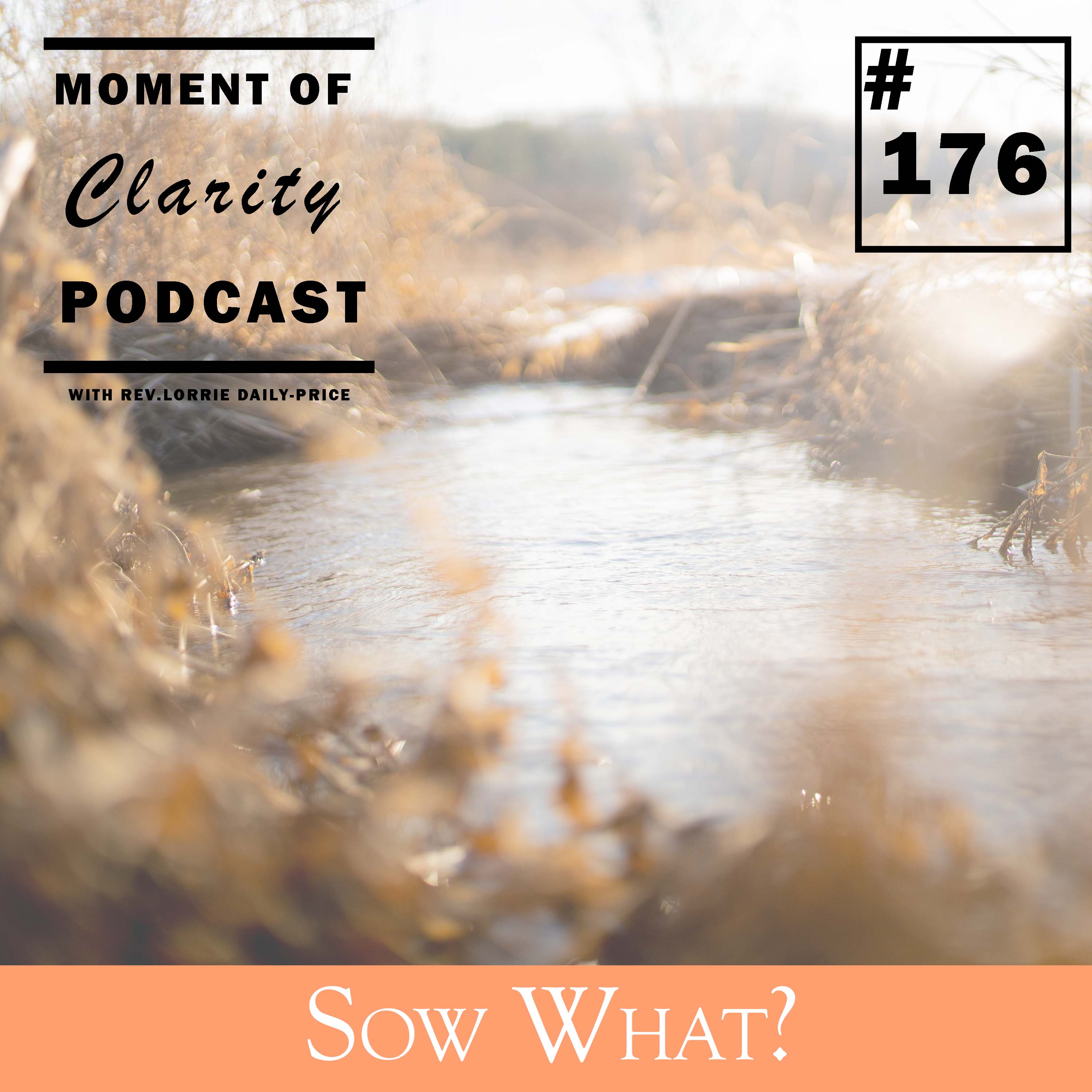 Moment of Clarity With Rev. Lorrie Daly-Price