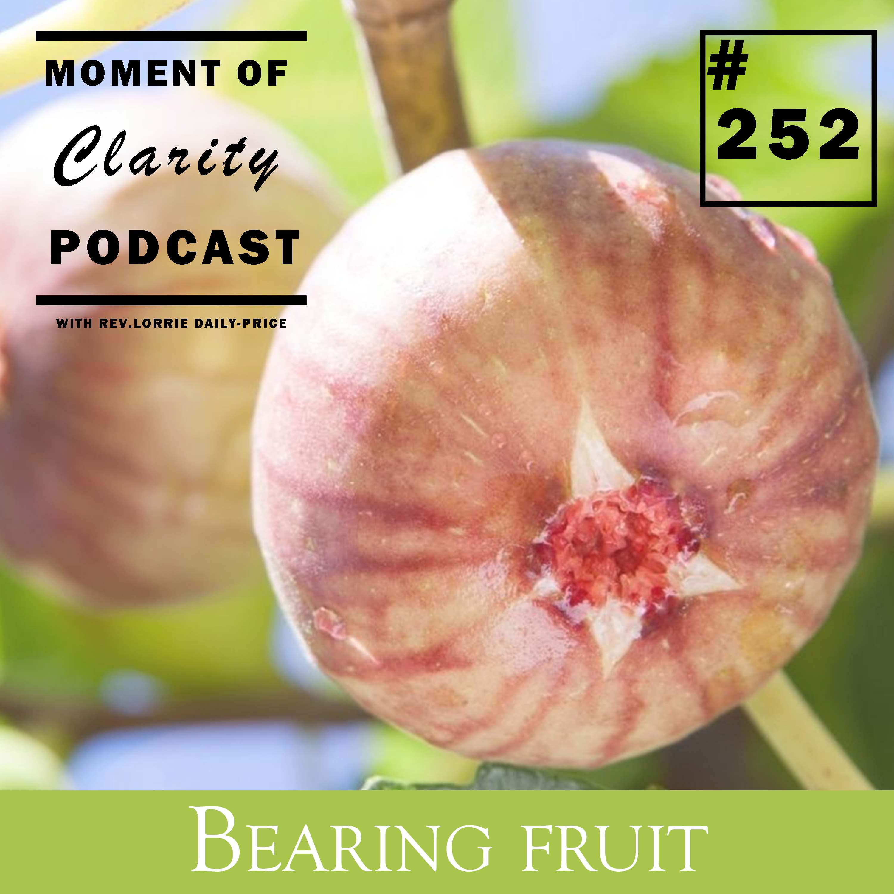 Moment of Clarity With Rev. Lorrie Daly-Price