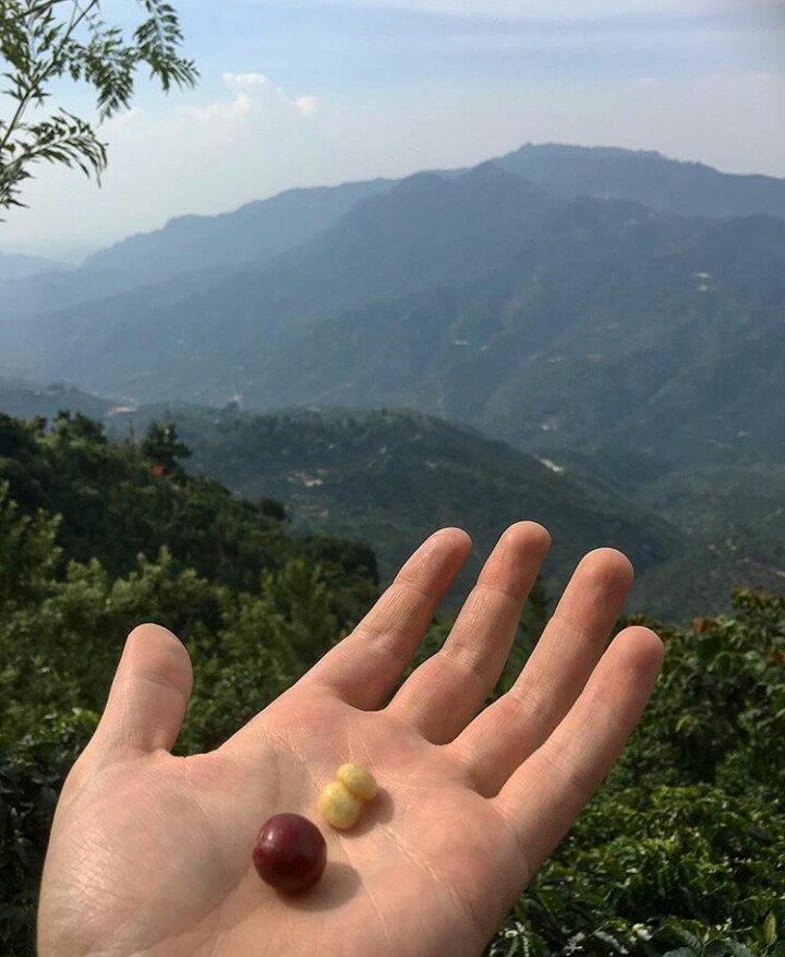 Episode 5: Origin Chat Follow-Up Episode 5: Origin Chat Follow-Up